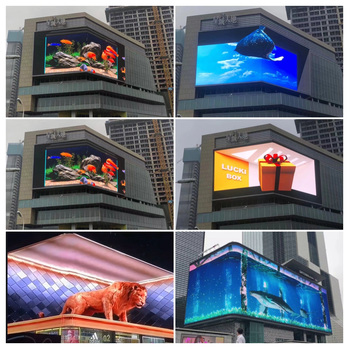 显示屏 显示屏